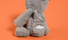 Load image into Gallery viewer, Frankie the Hippo + Book - Silver Lining Stuffies